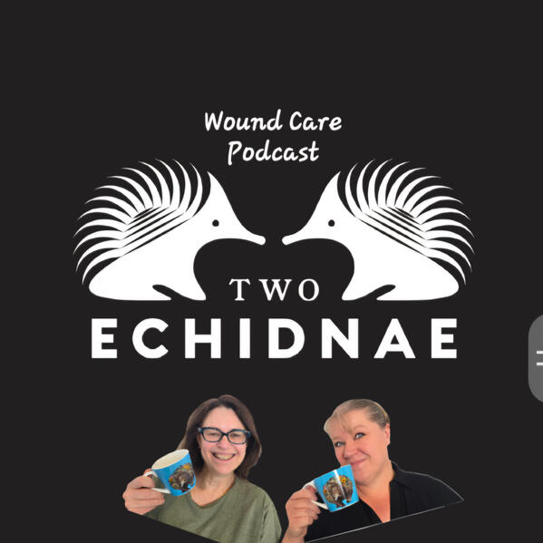 Two Echidnae Wound Podcast